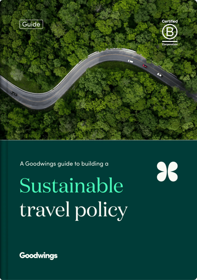 Sustainable travel policy thumbnail