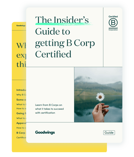 insiders guide